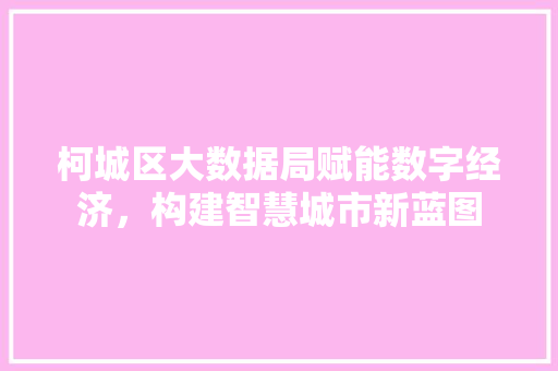 柯城区大数据局赋能数字经济，构建智慧城市新蓝图
