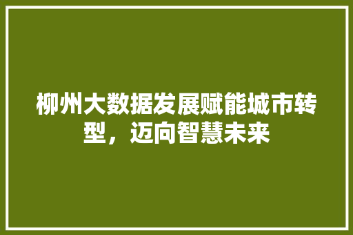 柳州大数据发展赋能城市转型,迈向智慧未来 柳州大数据发展赋能城市转型,迈向智慧未来