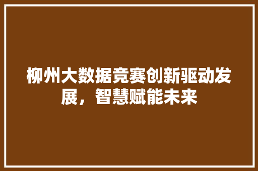 柳州大数据竞赛创新驱动发展，智慧赋能未来
