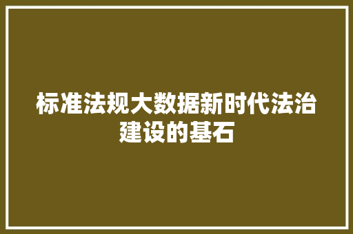 标准法规大数据新时代法治建设的基石