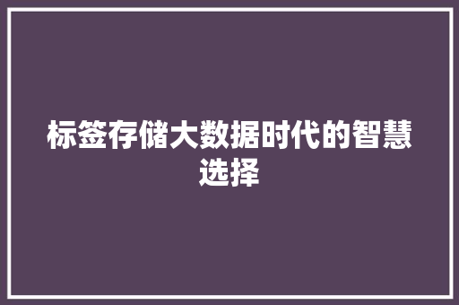 标签存储大数据时代的智慧选择