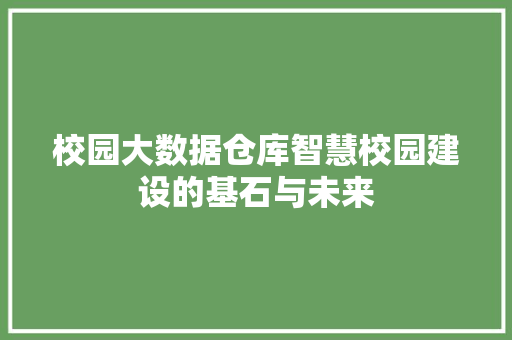 校园大数据仓库智慧校园建设的基石与未来