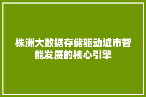 株洲大数据存储驱动城市智能发展的核心引擎