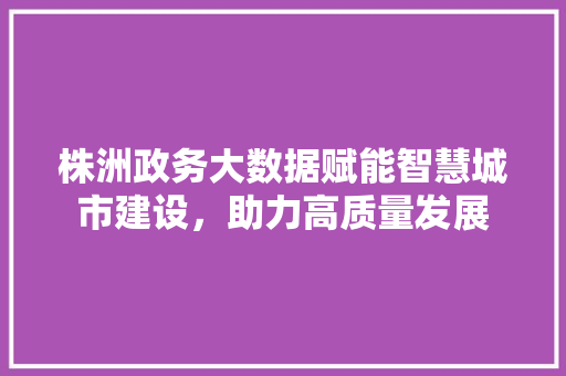 株洲政务大数据赋能智慧城市建设，助力高质量发展