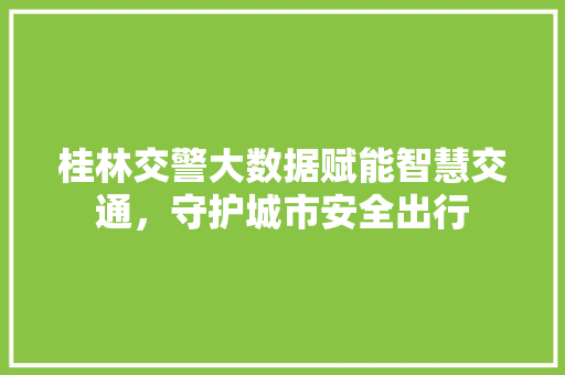 桂林交警大数据赋能智慧交通,守护城市安全出行 桂林交警大数据赋能智慧交通,守护城市安全出行