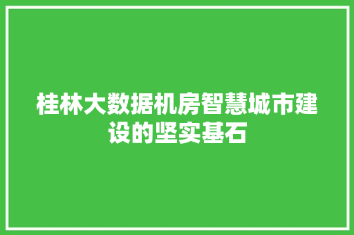 桂林大数据机房智慧城市建设的坚实基石