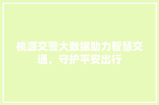 桃源交警大数据助力智慧交通，守护平安出行