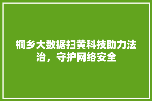 桐乡大数据扫黄科技助力法治，守护网络安全