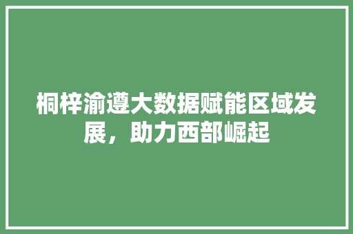 桐梓渝遵大数据赋能区域发展，助力西部崛起