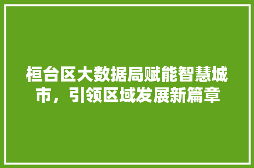 桓台区大数据局赋能智慧城市，引领区域发展新篇章