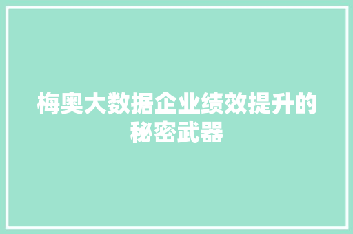 梅奥大数据企业绩效提升的秘密武器