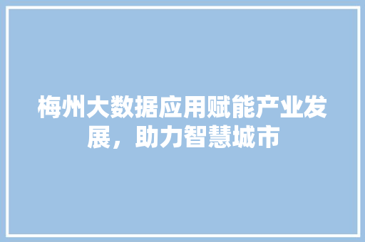 梅州大数据应用赋能产业发展，助力智慧城市