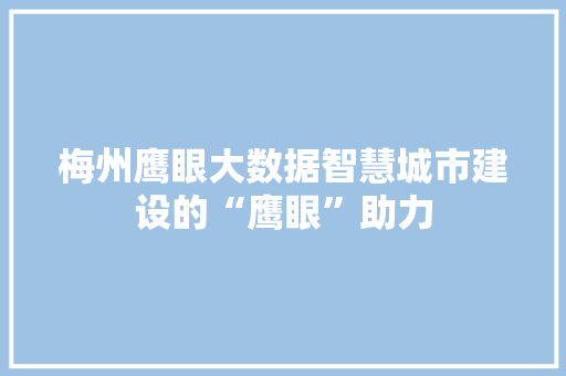 梅州鹰眼大数据智慧城市建设的“鹰眼”助力