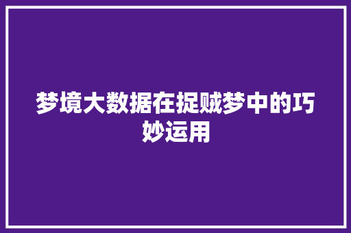 梦境大数据在捉贼梦中的巧妙运用