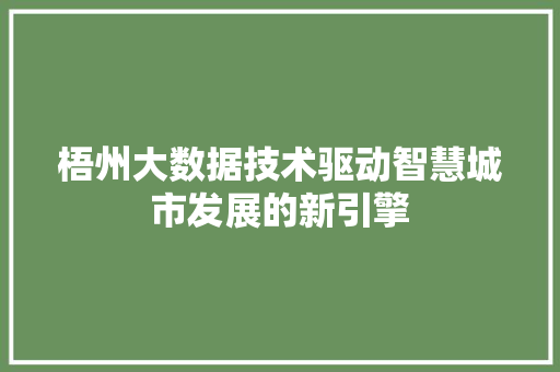 梧州大数据技术驱动智慧城市发展的新引擎