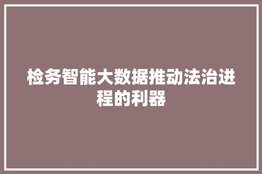 检务智能大数据推动法治进程的利器