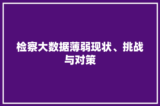 检察大数据薄弱现状、挑战与对策