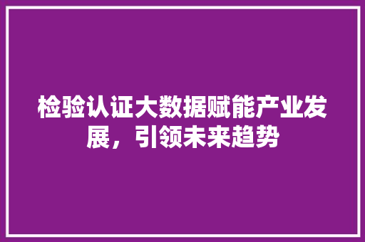 检验认证大数据赋能产业发展，引领未来趋势 网络技术