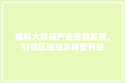 榆林大数据产业蓬勃发展，引领区域经济转型升级