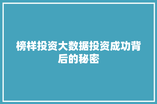 榜样投资大数据投资成功背后的秘密 电脑基础