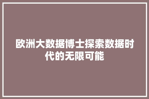 欧洲大数据博士探索数据时代的无限可能 欧洲大数据博士探索数据时代的无限可能