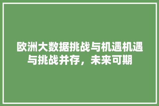 欧洲大数据挑战与机遇机遇与挑战并存,未来可期 欧洲大数据挑战与机遇机遇与挑战并存,未来可期