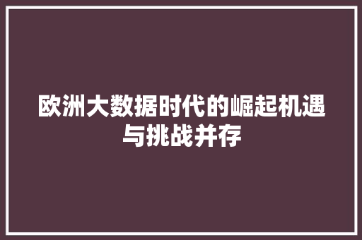 欧洲大数据时代的崛起机遇与挑战并存 欧洲大数据时代的崛起机遇与挑战并存