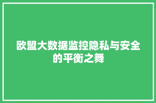 欧盟大数据监控隐私与安全的平衡之舞