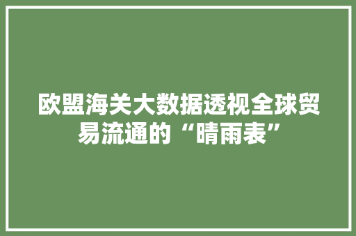 欧盟海关大数据透视全球贸易流通的“晴雨表” 欧盟海关大数据透视全球贸易流通的“晴雨表”