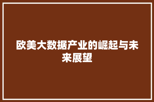 欧美大数据产业的崛起与未来展望 欧美大数据产业的崛起与未来展望