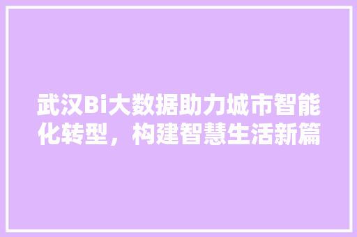 武汉Bi大数据助力城市智能化转型，构建智慧生活新篇章