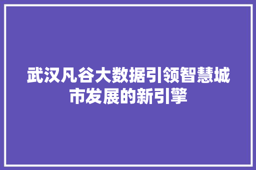 武汉凡谷大数据引领智慧城市发展的新引擎