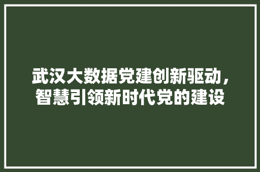 武汉大数据党建创新驱动，智慧引领新时代党的建设