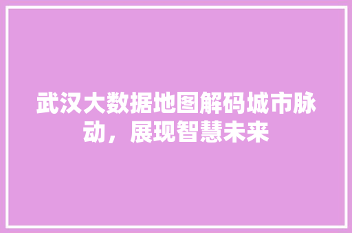 武汉大数据地图解码城市脉动，展现智慧未来