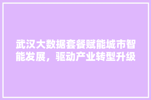 武汉大数据套餐赋能城市智能发展，驱动产业转型升级