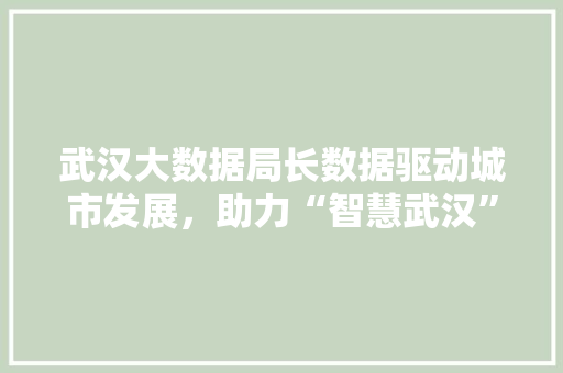 武汉大数据局长数据驱动城市发展，助力“智慧武汉”建设