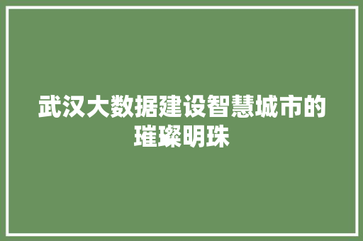 武汉大数据建设智慧城市的璀璨明珠