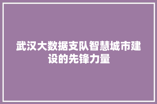 武汉大数据支队智慧城市建设的先锋力量