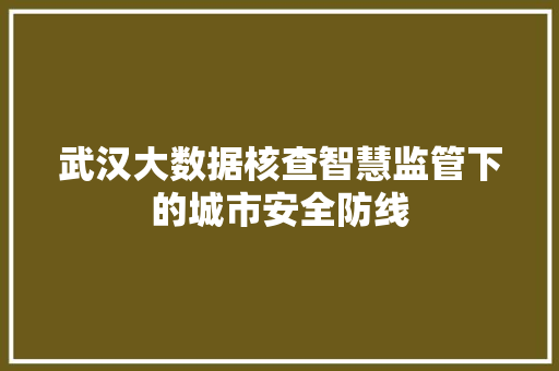 武汉大数据核查智慧监管下的城市安全防线
