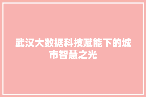 武汉大数据科技赋能下的城市智慧之光
