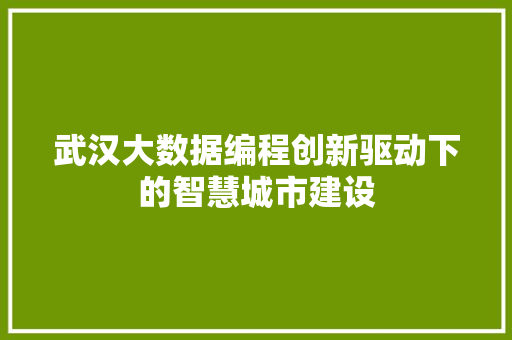 武汉大数据编程创新驱动下的智慧城市建设