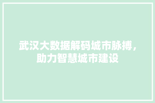 武汉大数据解码城市脉搏，助力智慧城市建设