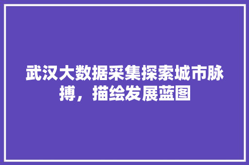 武汉大数据采集探索城市脉搏，描绘发展蓝图