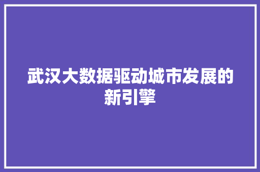 武汉大数据驱动城市发展的新引擎