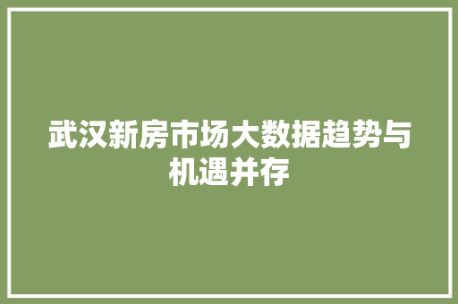 武汉新房市场大数据趋势与机遇并存