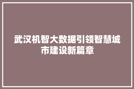 武汉机智大数据引领智慧城市建设新篇章