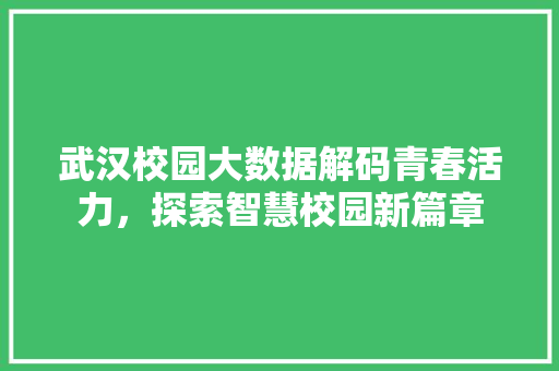 武汉校园大数据解码青春活力，探索智慧校园新篇章