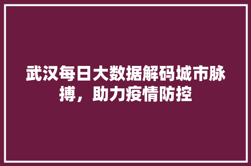 武汉每日大数据解码城市脉搏，助力疫情防控