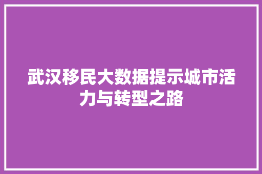 武汉移民大数据提示城市活力与转型之路