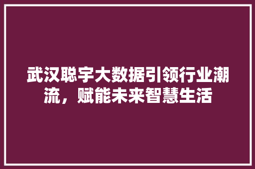 武汉聪宇大数据引领行业潮流，赋能未来智慧生活